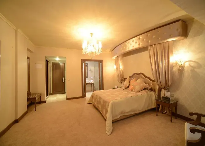 فندق Hotel Basri 3*